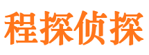 玉树寻人公司